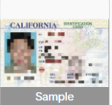 Sample